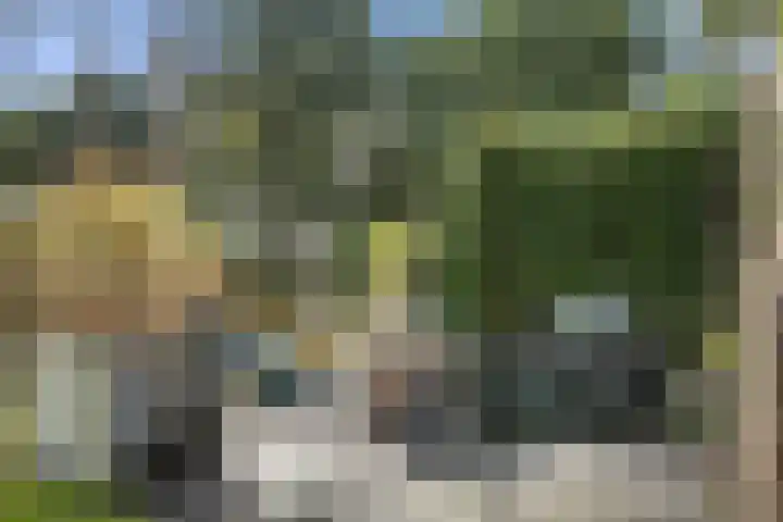 Panoramaweg 27 R D15 Bennekom thumbnail 15