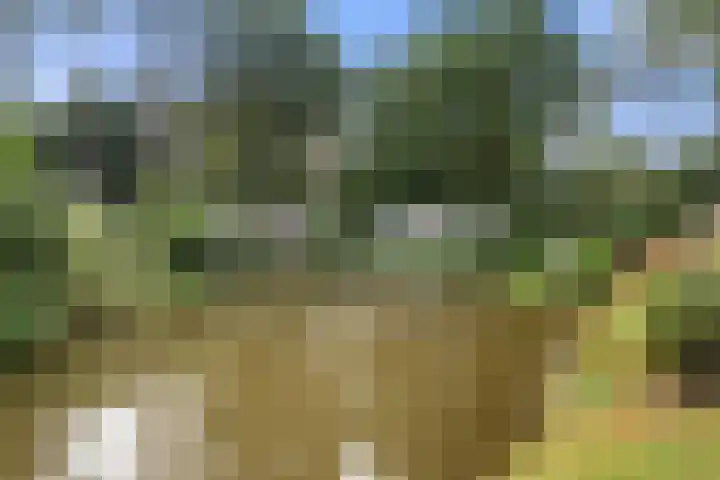 Panoramaweg 27 R D15 Bennekom thumbnail 16