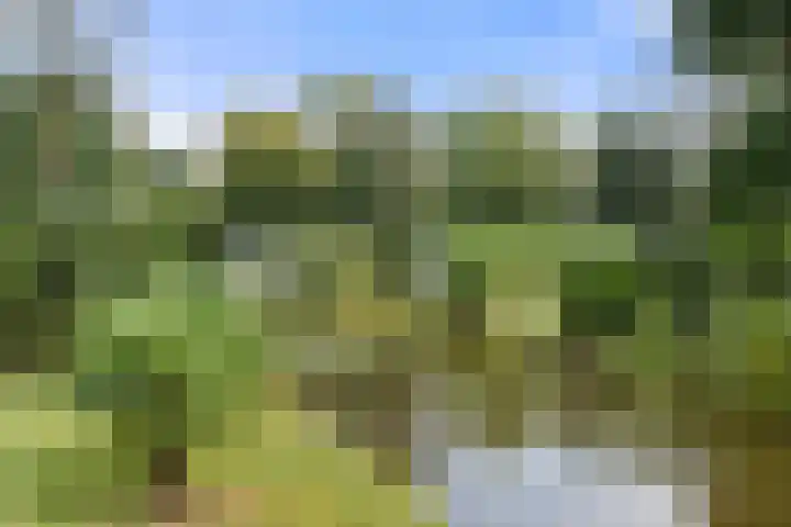 Panoramaweg 27 R D15 Bennekom thumbnail 17