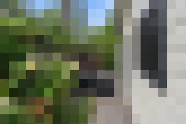 Panoramaweg 27 R D15 Bennekom thumbnail 22