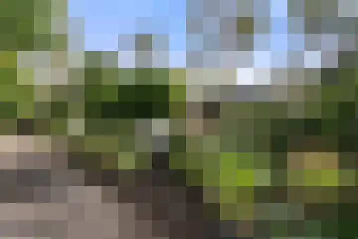 Panoramaweg 27 R D15 Bennekom thumbnail 4