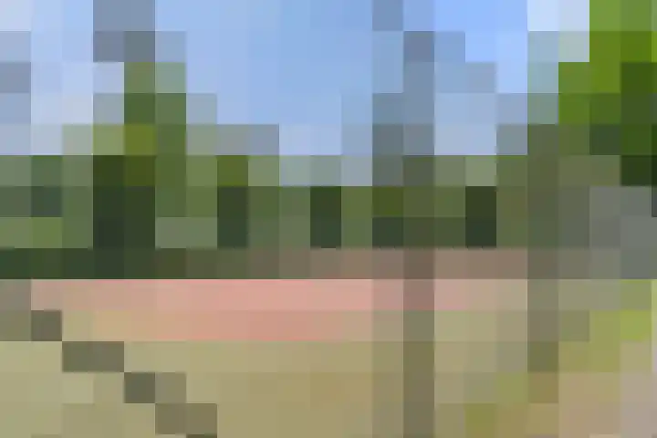 Panoramaweg 27 R D15 Bennekom thumbnail 9