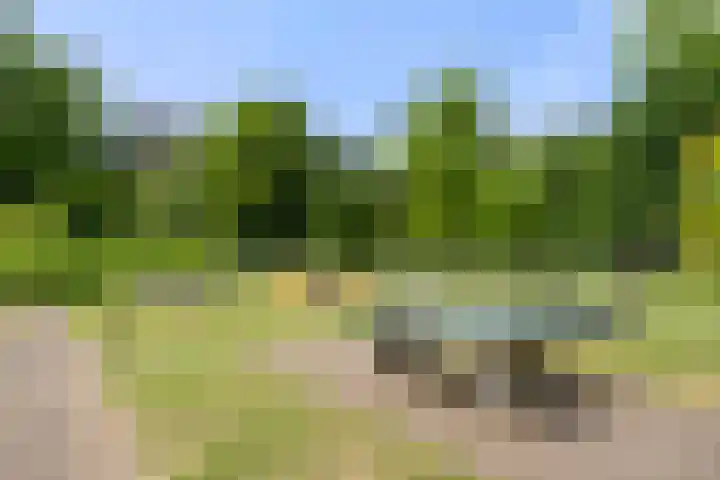 Panoramaweg 27 R D2 Bennekom thumbnail 11
