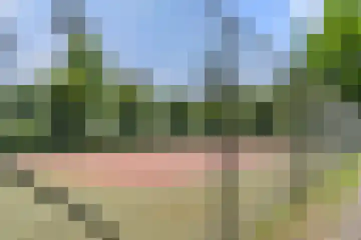 Panoramaweg 27 R D2 Bennekom thumbnail 13