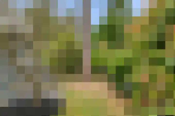Panoramaweg 27 R D2 Bennekom thumbnail 14