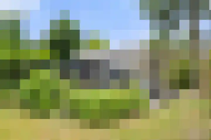 Panoramaweg 27 R D2 Bennekom thumbnail 15