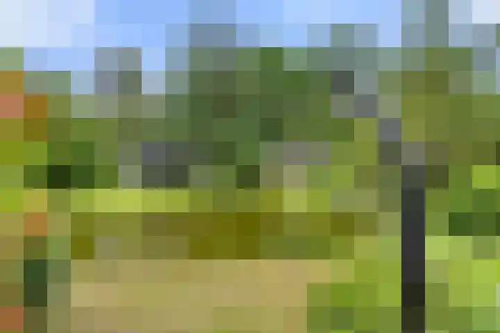 Panoramaweg 27 R D2 Bennekom thumbnail 16