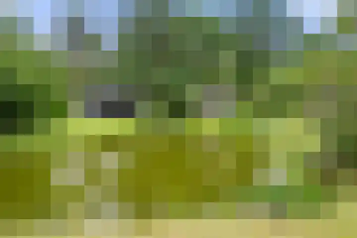 Panoramaweg 27 R D2 Bennekom thumbnail 17