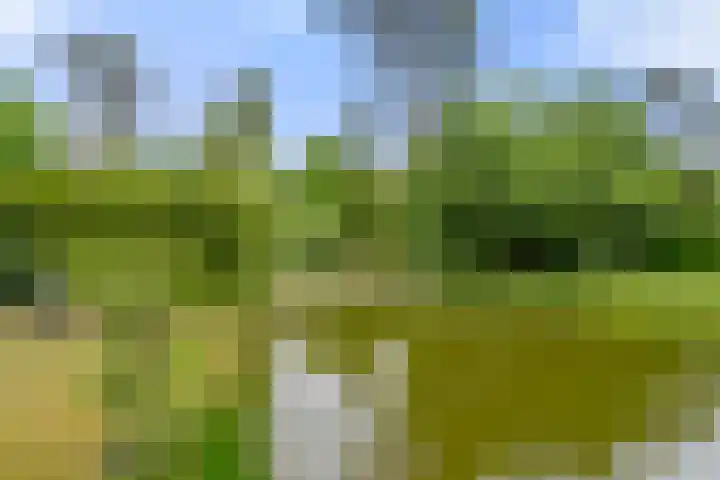 Panoramaweg 27 R D2 Bennekom thumbnail 18