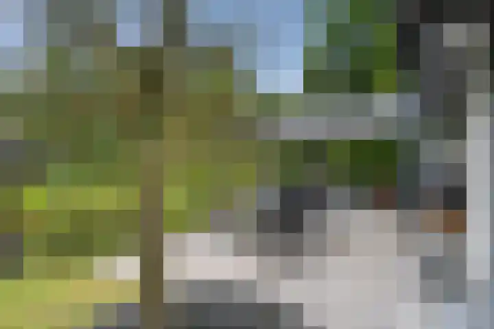 Panoramaweg 27 R D2 Bennekom thumbnail 19