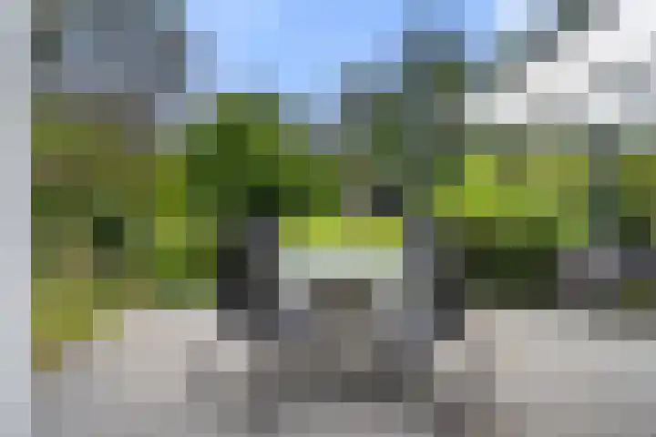 Panoramaweg 27 R D2 Bennekom thumbnail 20