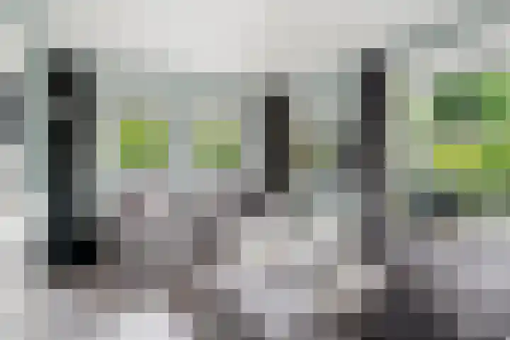 Panoramaweg 27 R D2 Bennekom thumbnail 28