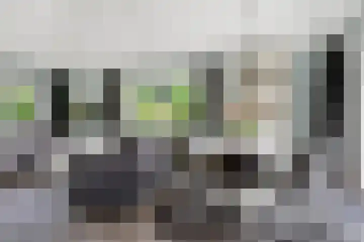 Panoramaweg 27 R D2 Bennekom thumbnail 32