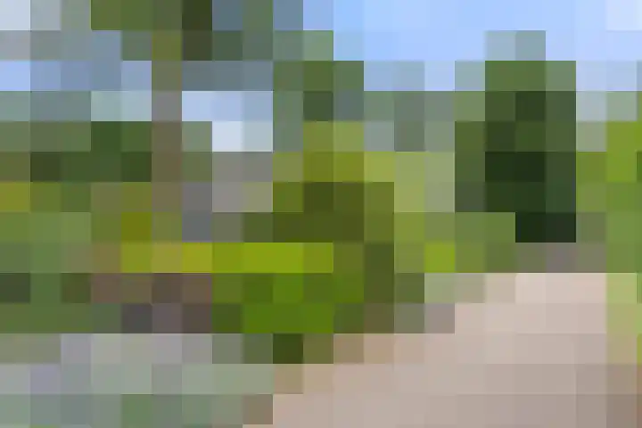 Panoramaweg 27 R D2 Bennekom thumbnail 5