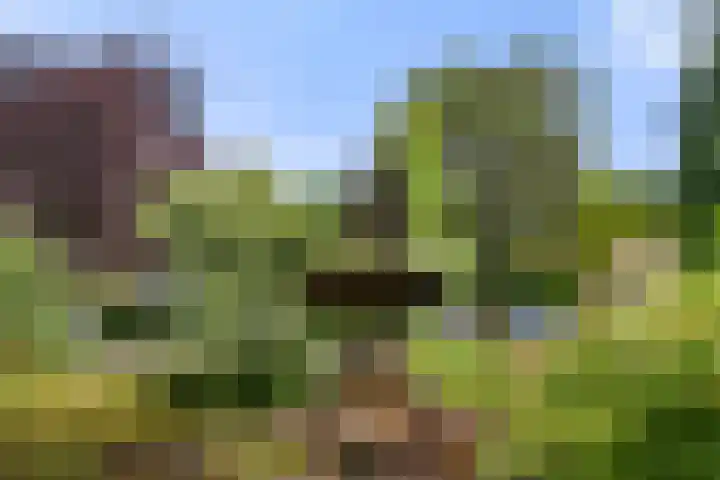 Panoramaweg 27 R D2 Bennekom thumbnail 9