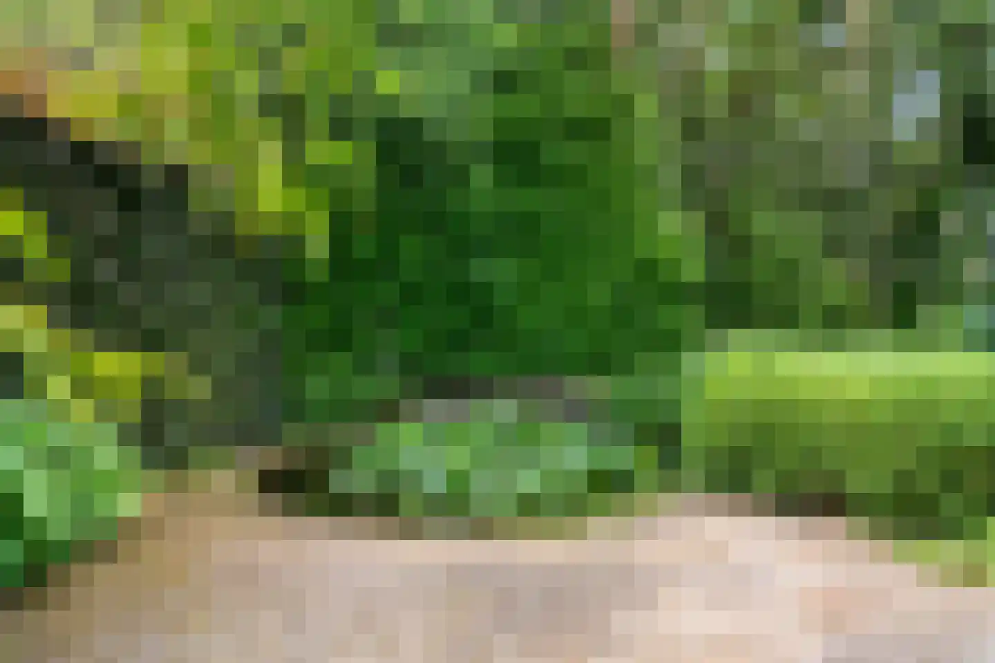Panoramaweg 37 Bennekom thumbnail 15
