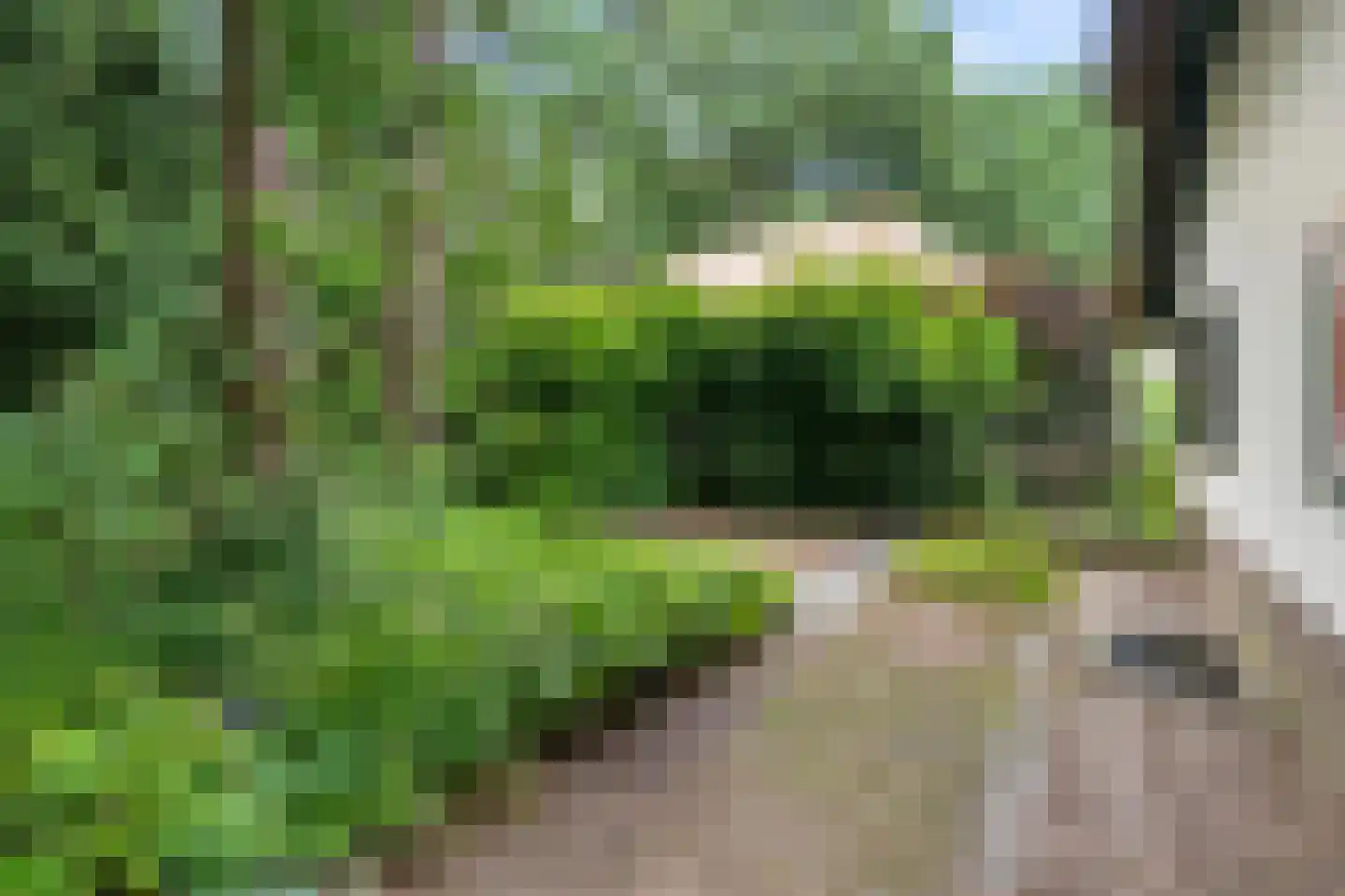 Panoramaweg 37 Bennekom thumbnail 16