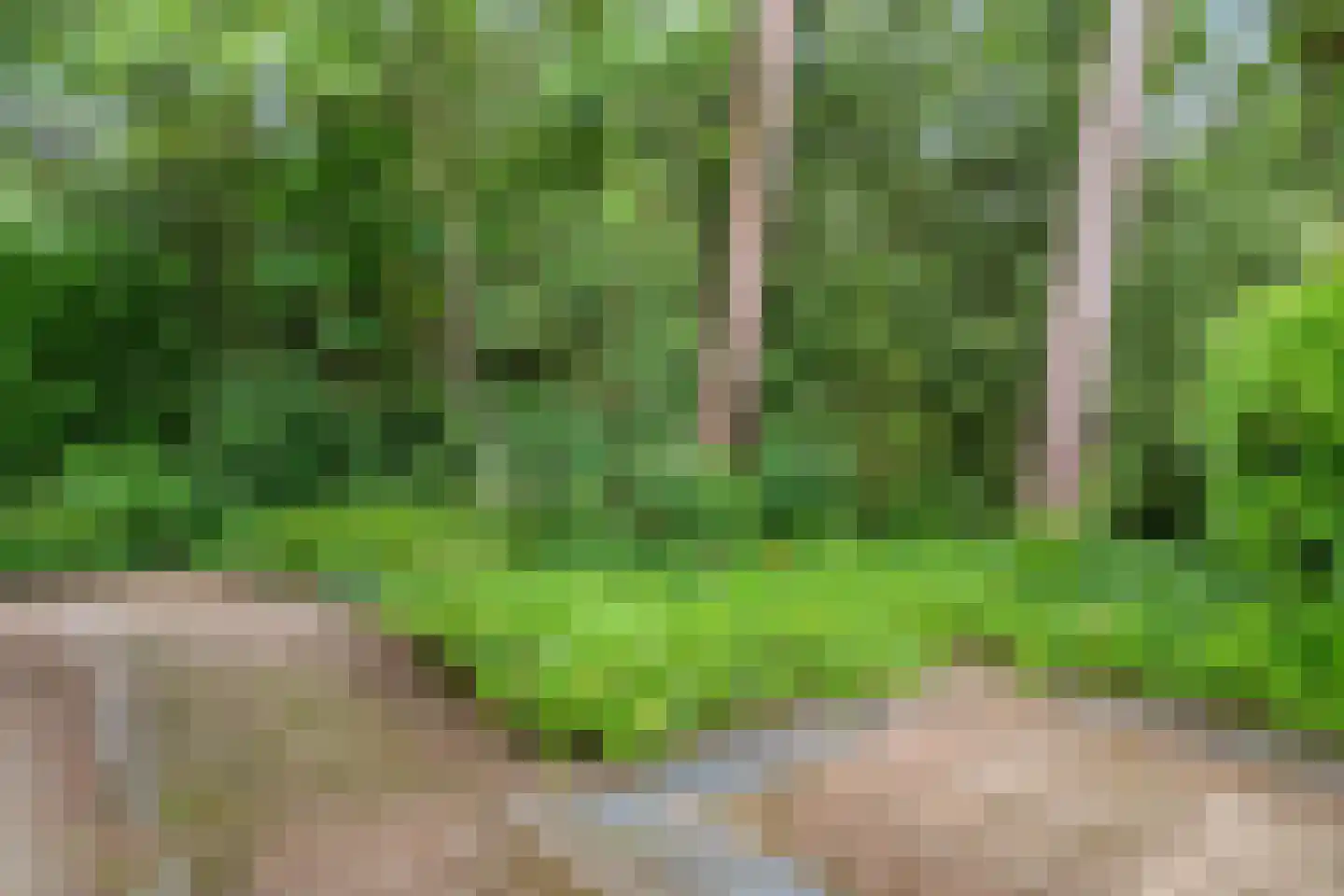 Panoramaweg 37 Bennekom thumbnail 17