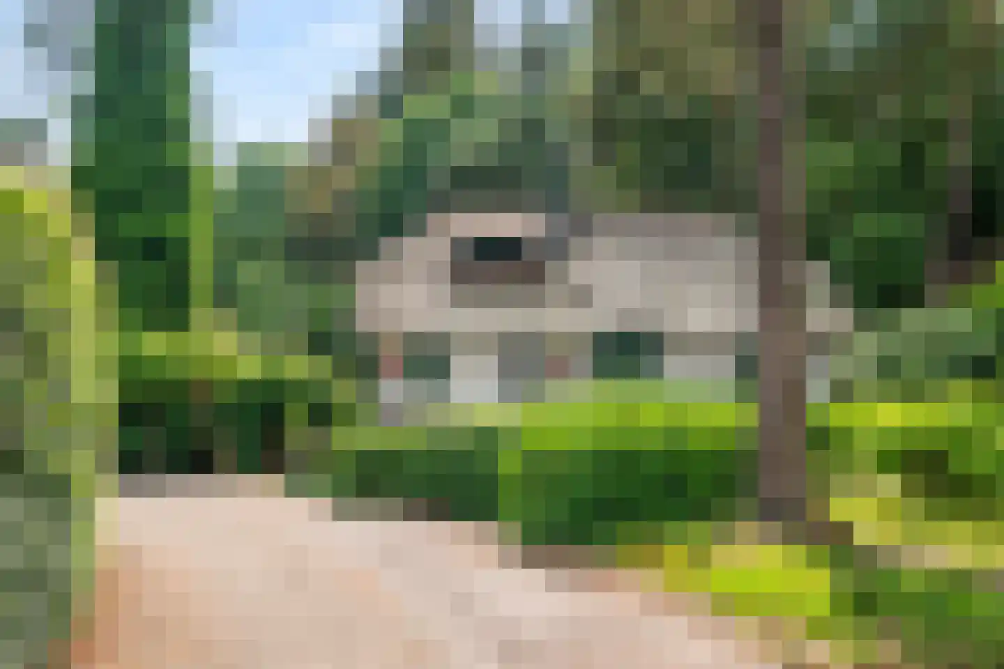 Panoramaweg 37 Bennekom thumbnail 4