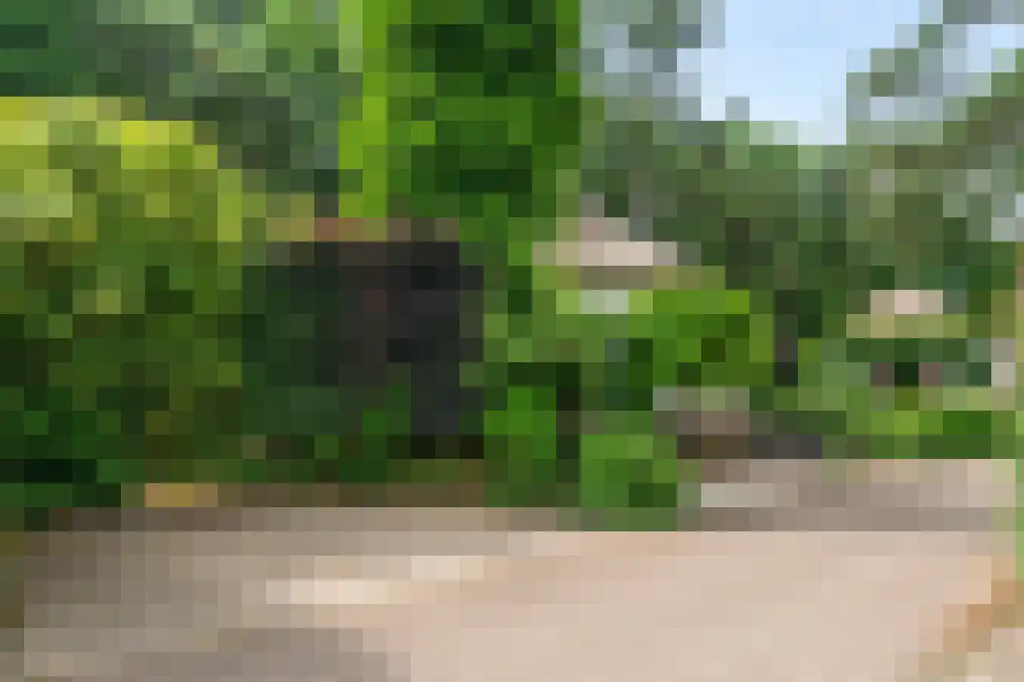Panoramaweg 37 Bennekom thumbnail 6