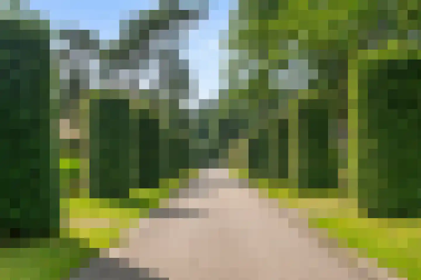 Panoramaweg 37 Bennekom thumbnail 9