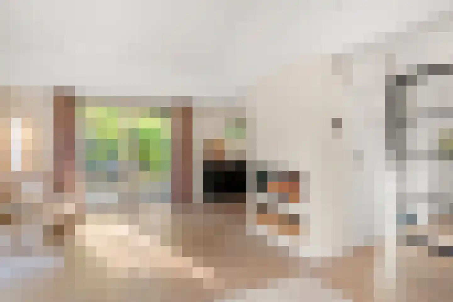 Panoramaweg 45 Bennekom thumbnail 12