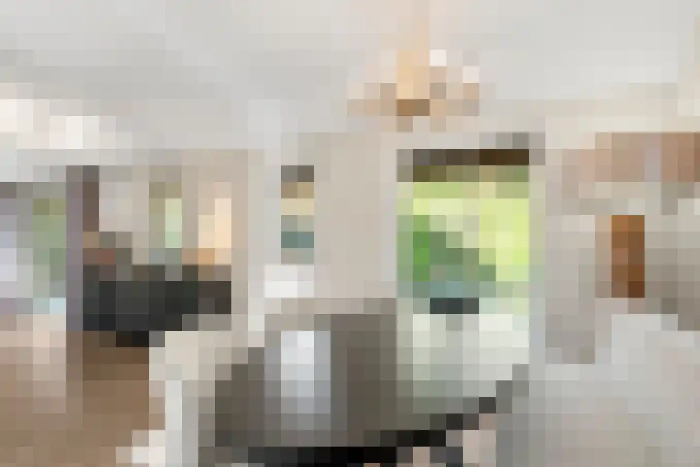 Panoramaweg 45 Bennekom thumbnail 15