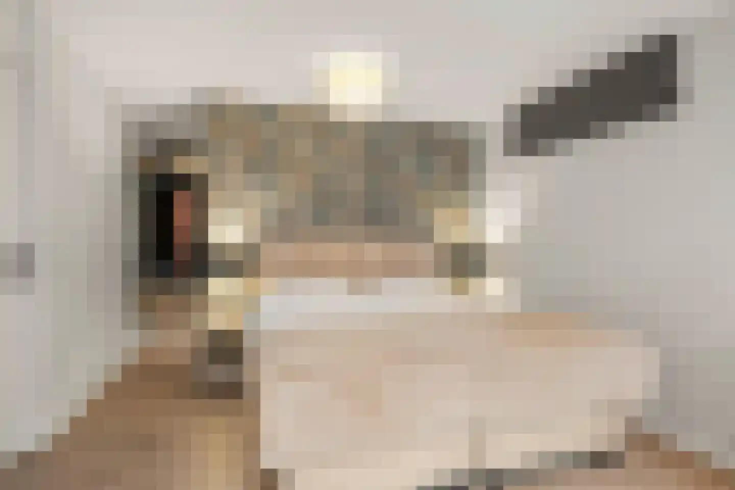 Panoramaweg 45 Bennekom thumbnail 23