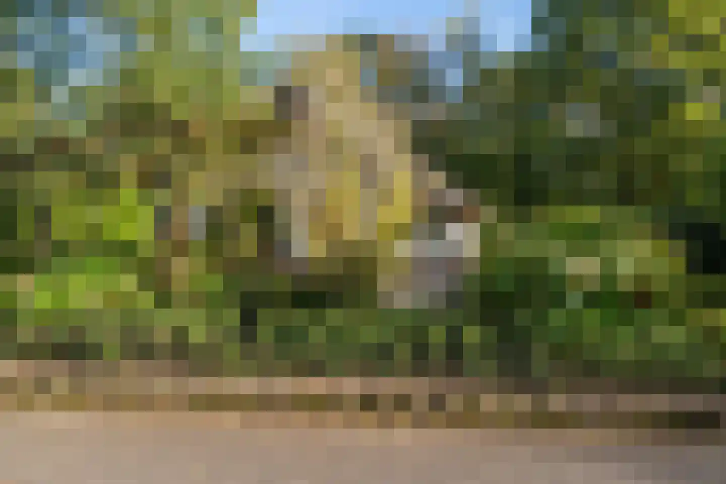 Panoramaweg 45 Bennekom thumbnail 32
