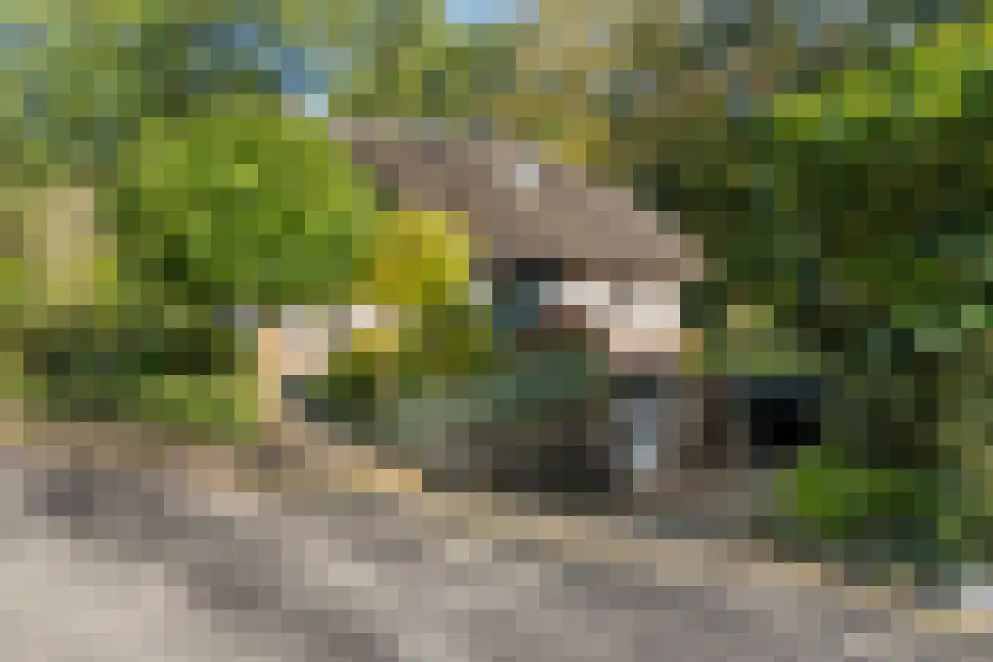 Panoramaweg 45 Bennekom thumbnail 33