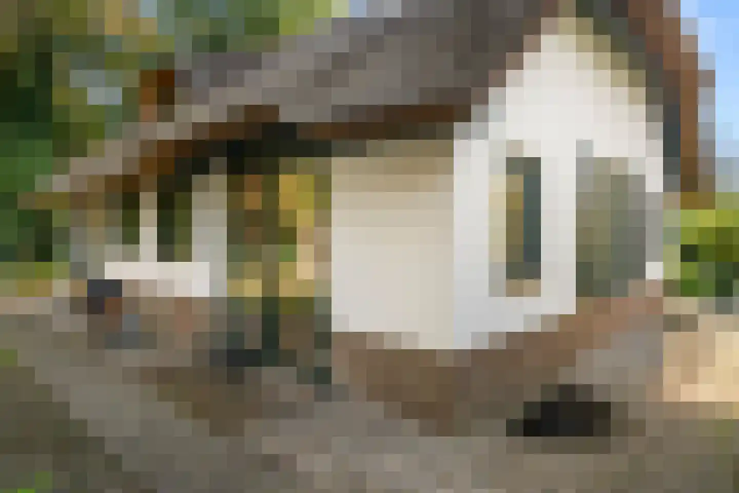 Panoramaweg 45 Bennekom thumbnail 36