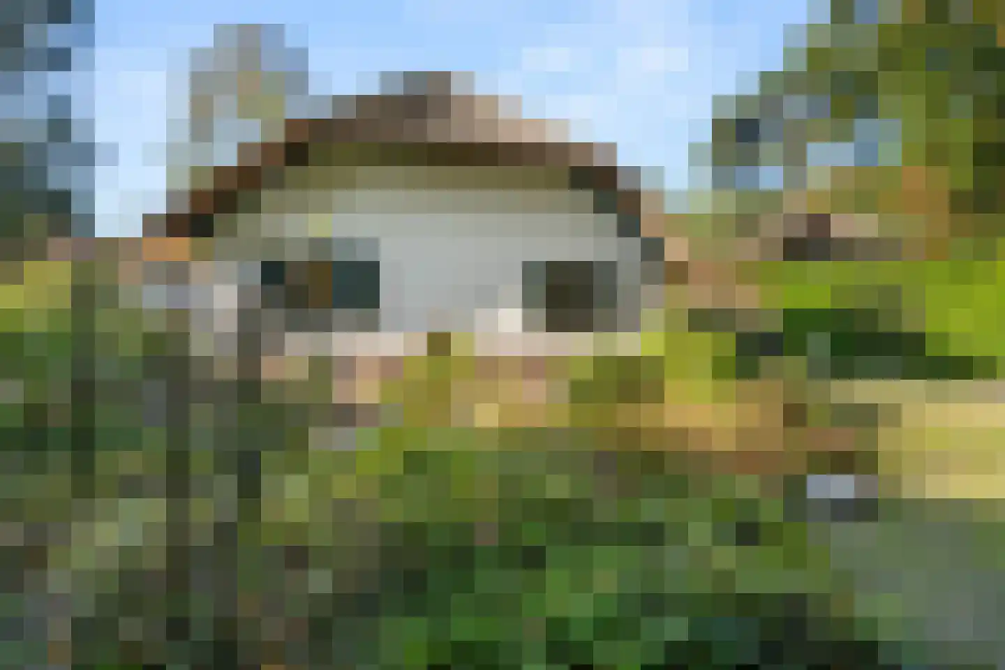 Panoramaweg 45 Bennekom thumbnail 37