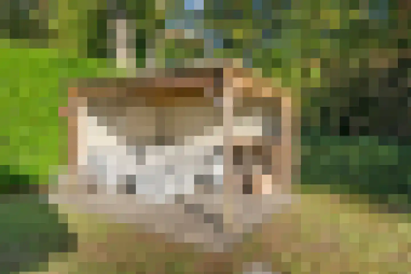 Panoramaweg 45 Bennekom thumbnail 39