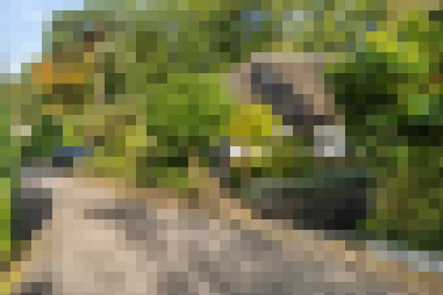 Panoramaweg 45 Bennekom thumbnail 41