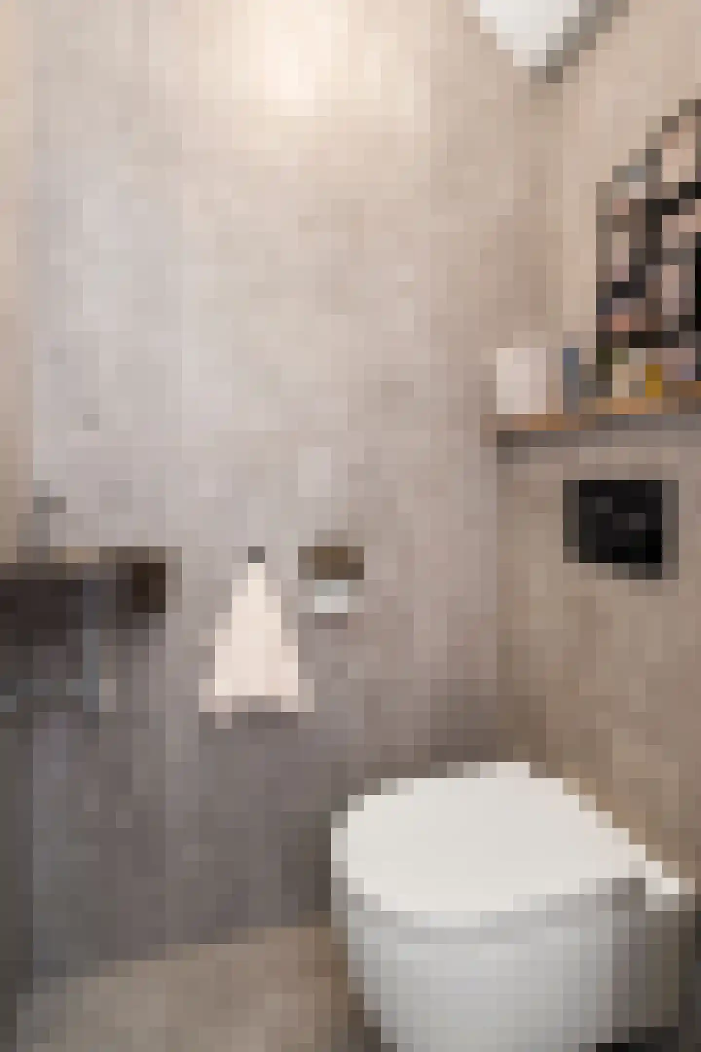 Panoramaweg 45 Bennekom thumbnail 8
