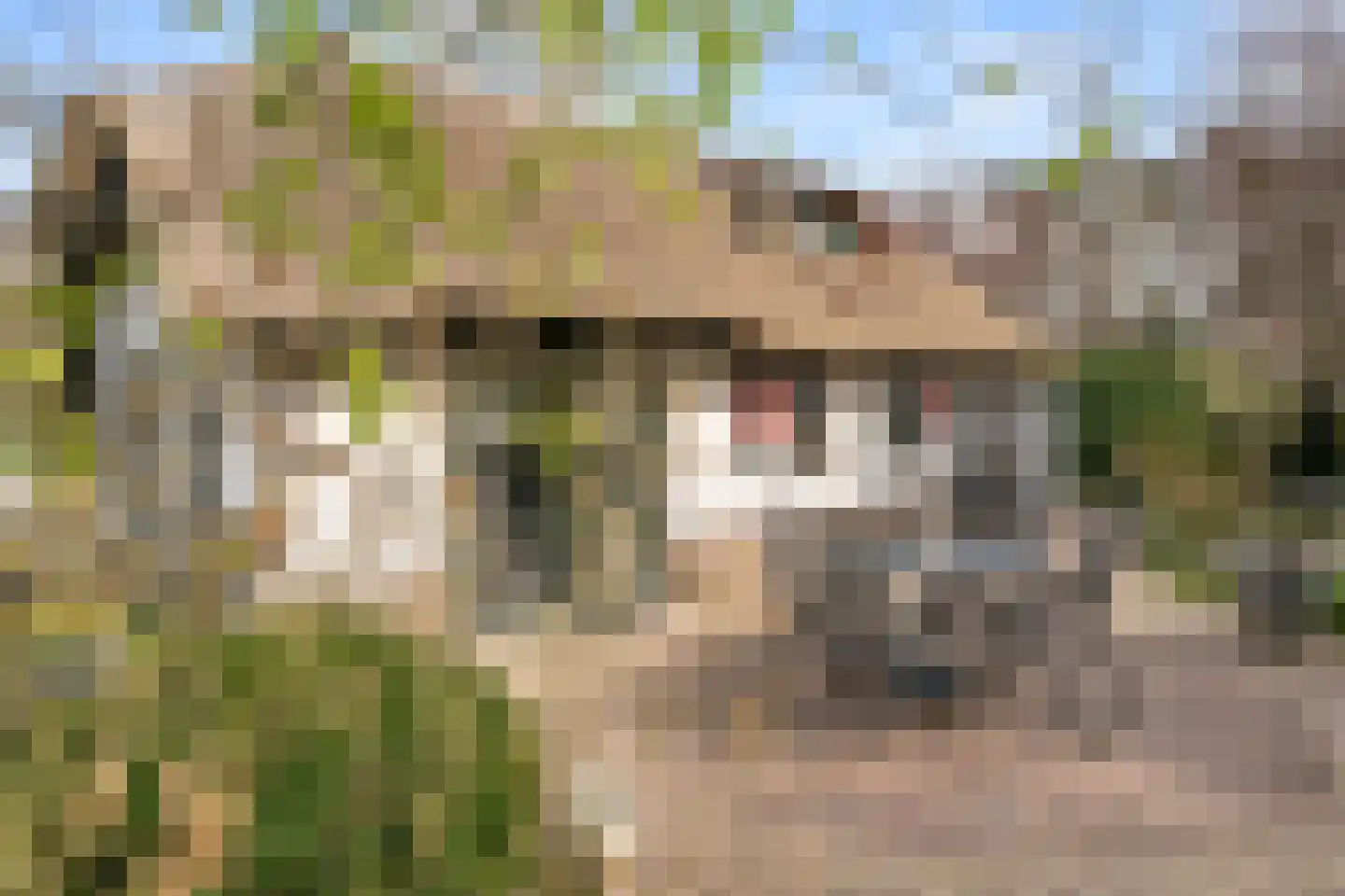 Panoramaweg 71 Bennekom thumbnail 35