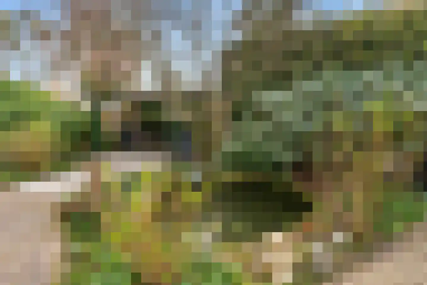Panoramaweg 71 Bennekom thumbnail 37
