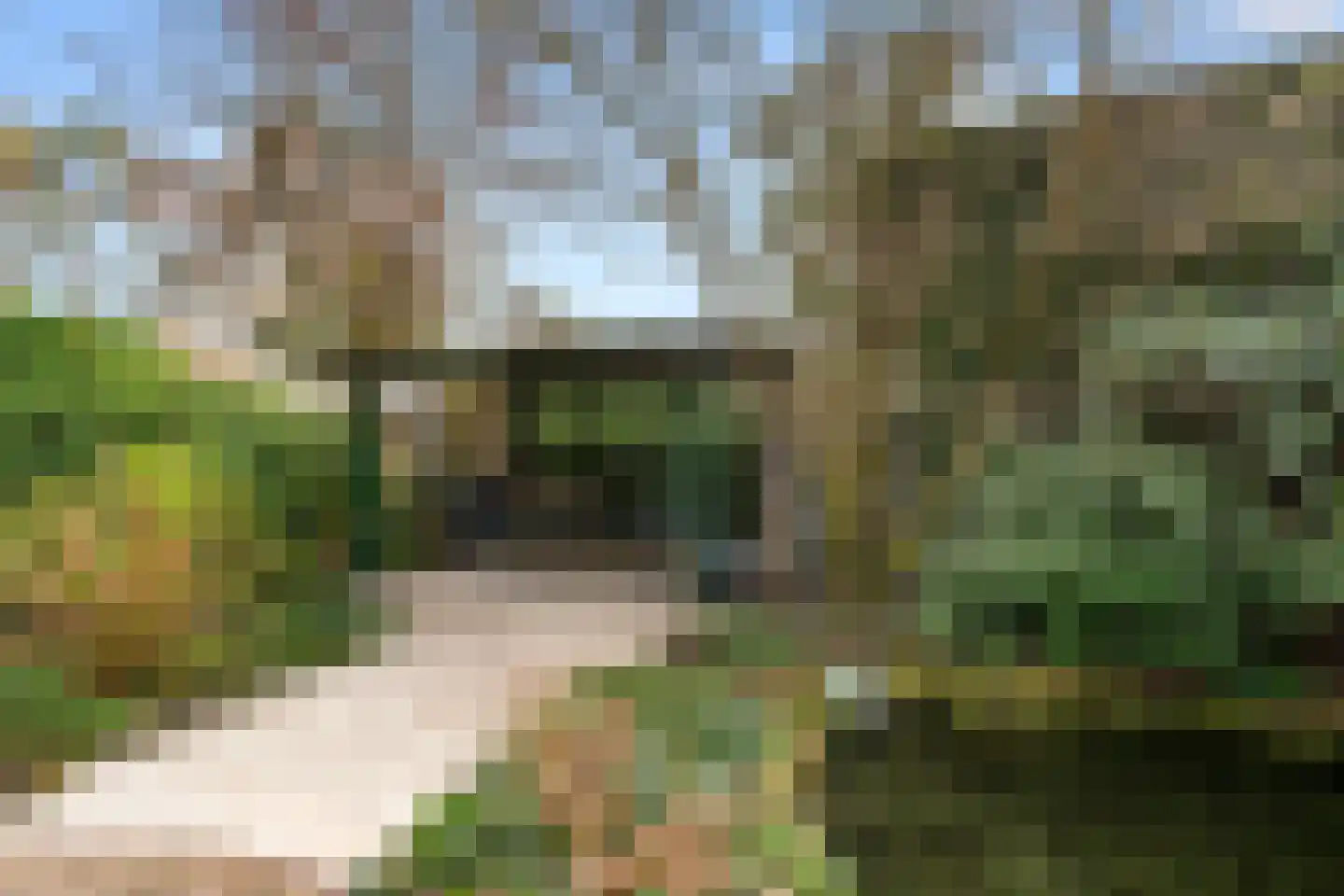 Panoramaweg 71 Bennekom thumbnail 38