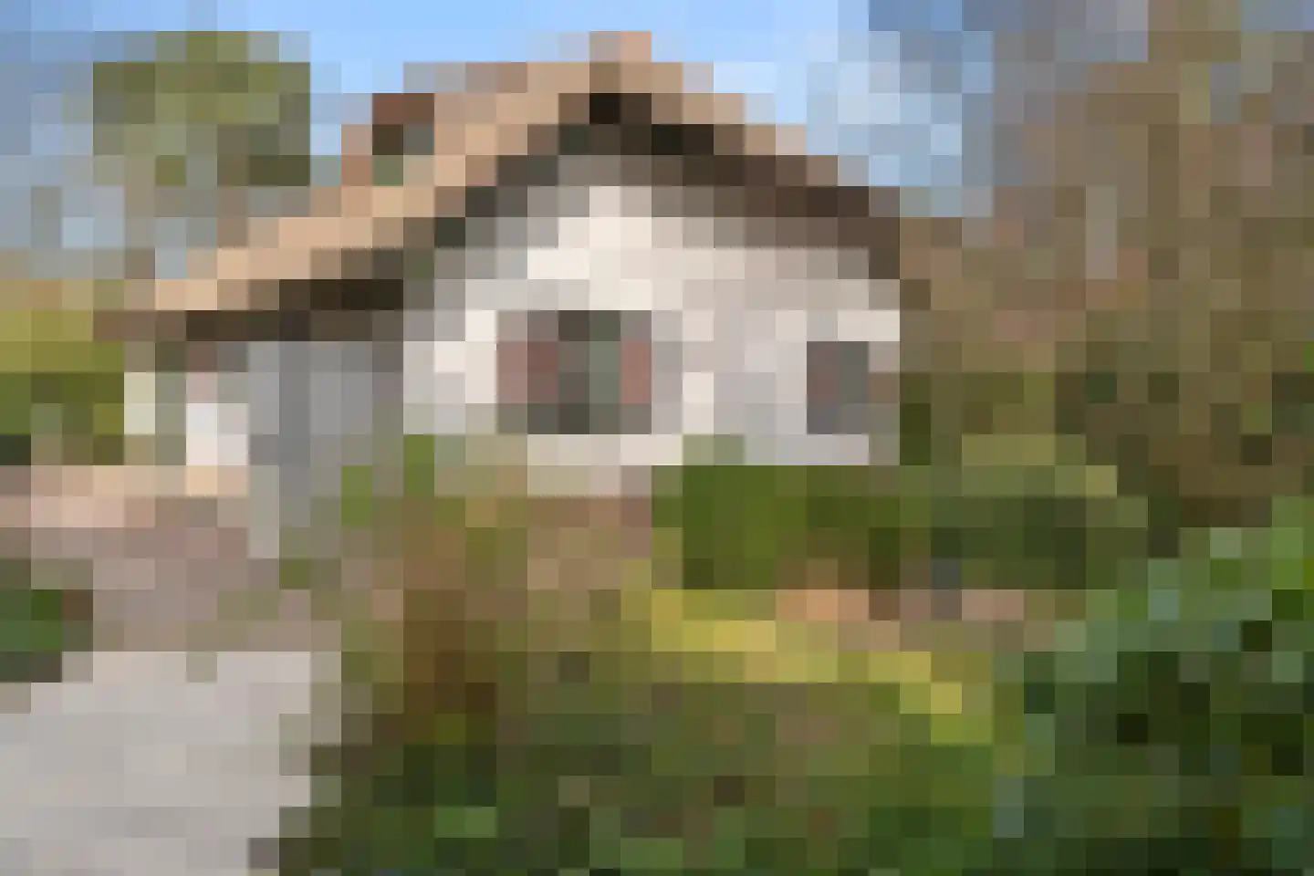 Panoramaweg 71 Bennekom thumbnail 39