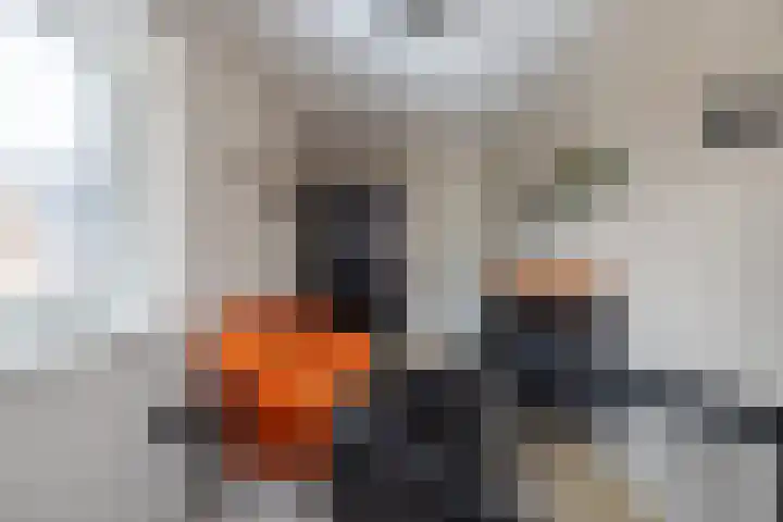 Panoven 19 Doetinchem thumbnail 30