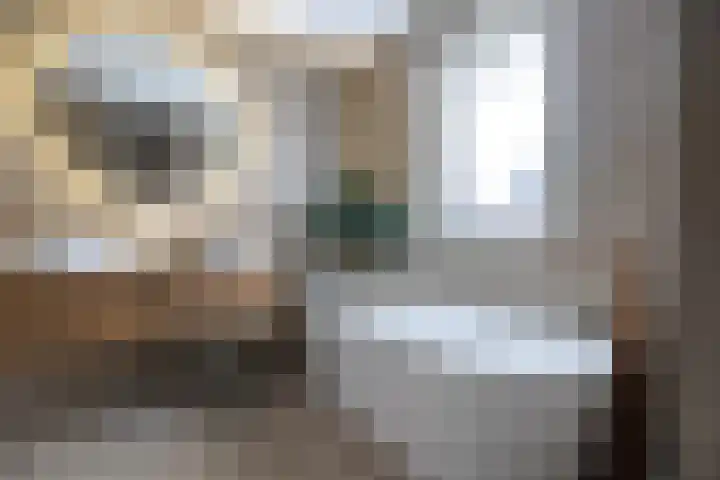 Panoven 19 Doetinchem thumbnail 34