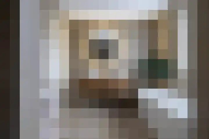 Panoven 19 Doetinchem thumbnail 35