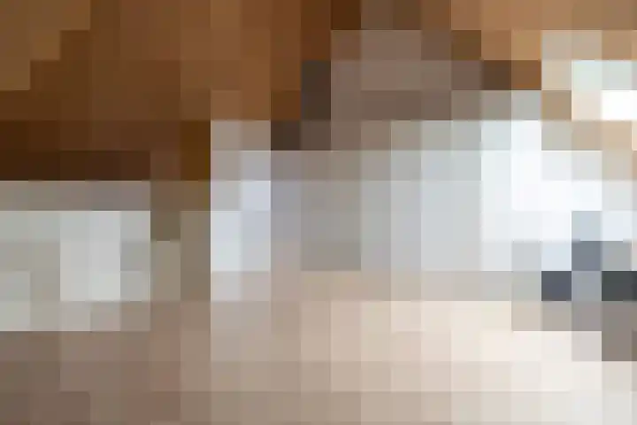 Panoven 19 Doetinchem thumbnail 37