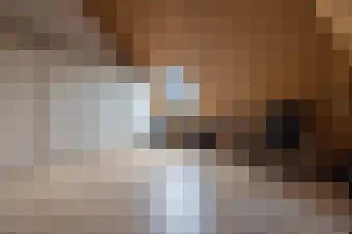 Panoven 19 Doetinchem thumbnail 38