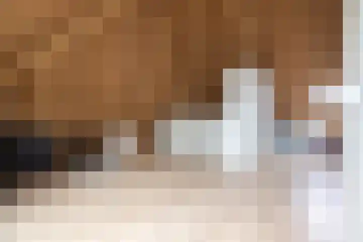Panoven 19 Doetinchem thumbnail 39