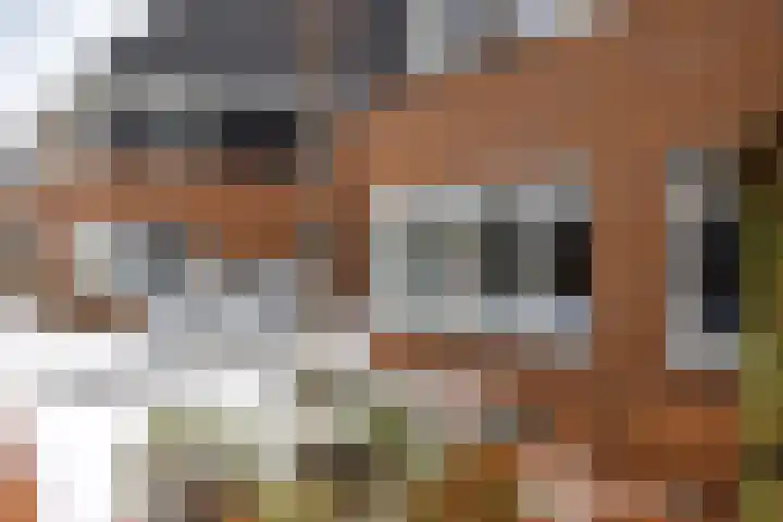 Panoven 19 Doetinchem thumbnail 41