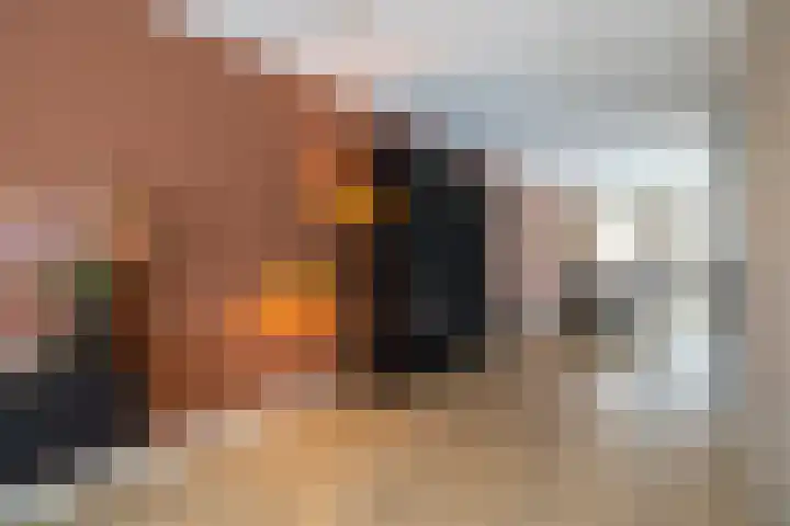 Panoven 19 Doetinchem thumbnail 7