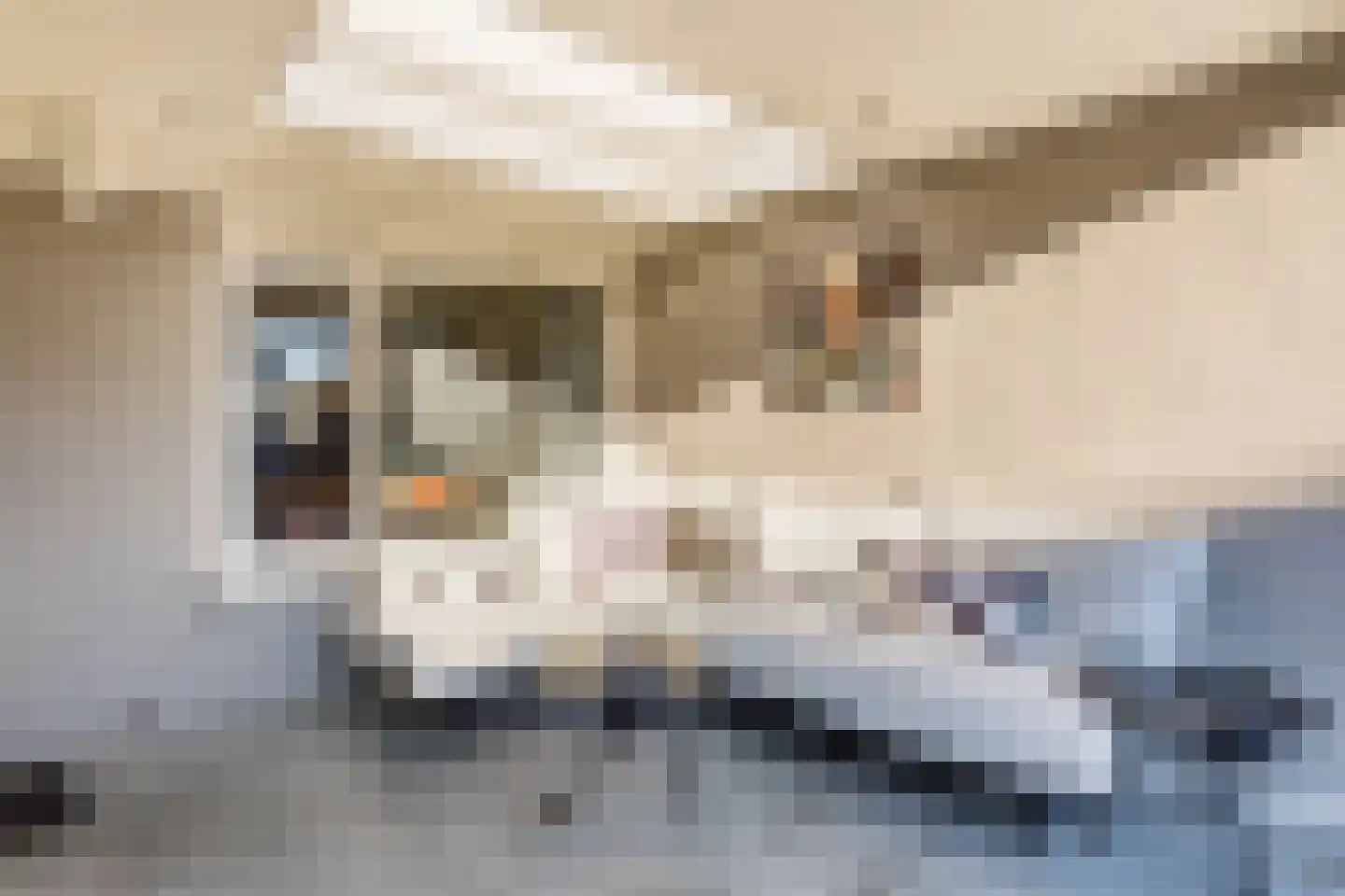 Panovenstraat 4 Munstergeleen thumbnail 41