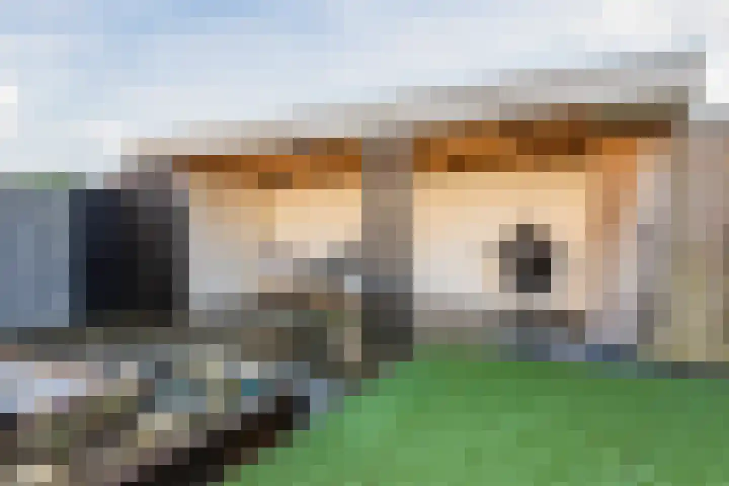 Panovenstraat 4 Munstergeleen thumbnail 45