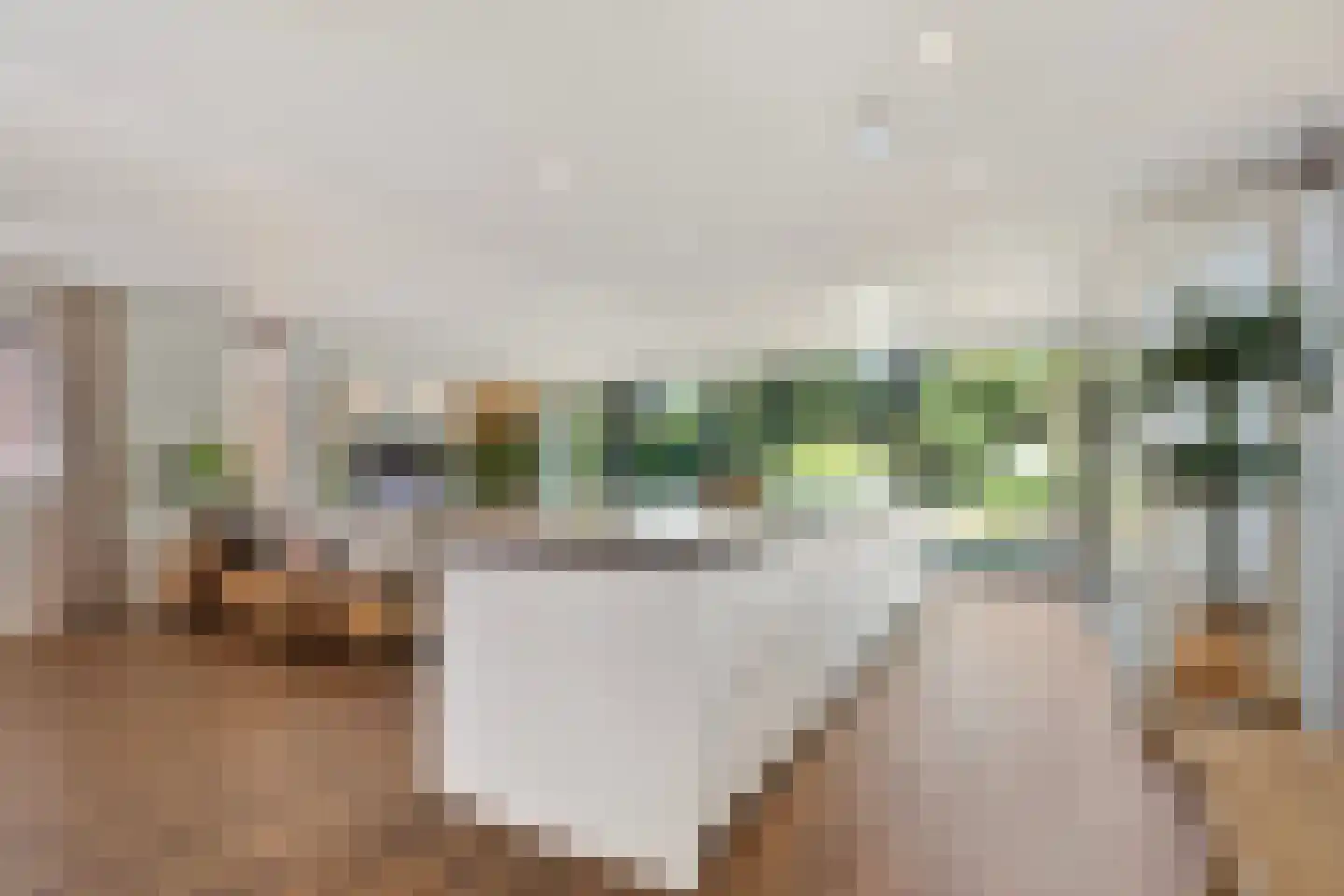 Panovenweg 6 Zevenaar thumbnail 10